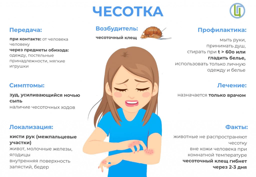 Профилактика чесотки в коллективах Профилактика чесотки в коллективах