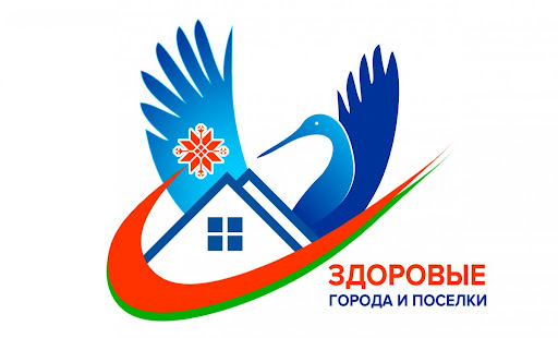 Профилактический проект «Здоровые города и поселки»