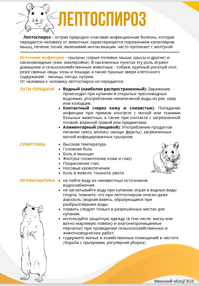 Лептоспироз