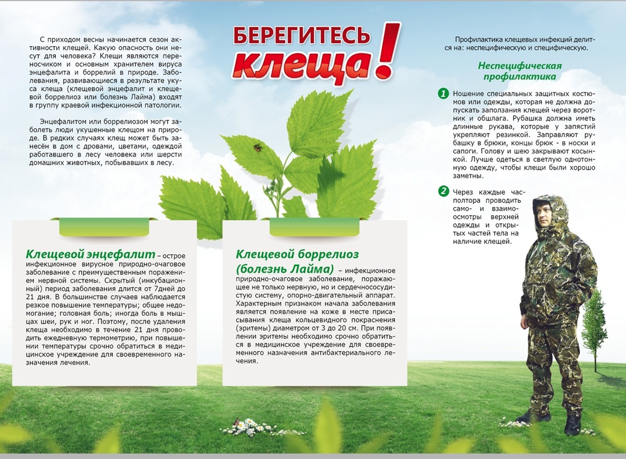 Памятка: берегись клеща!