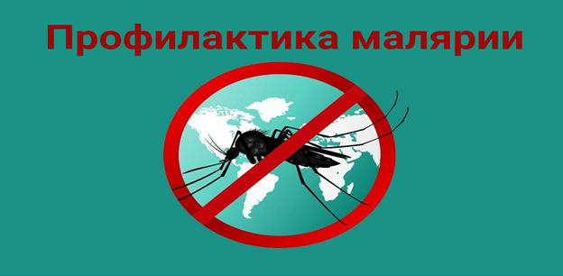 Профилактика малярии Профилактика малярии